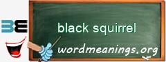 WordMeaning blackboard for black squirrel